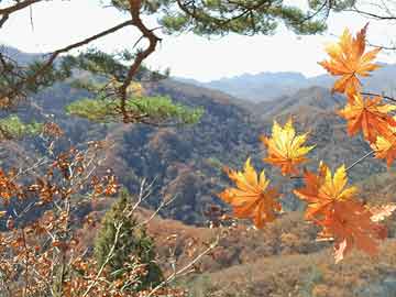 电暖炉公司排名(电暖炉公司排名榜)