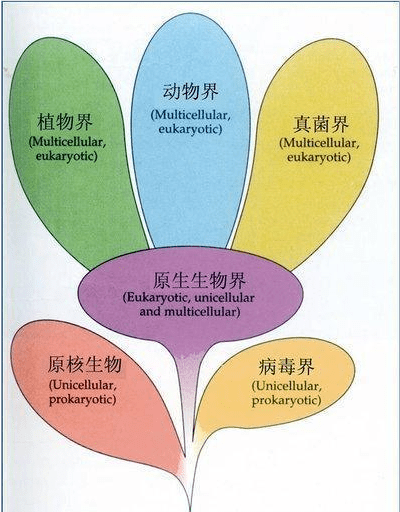 全球土壤病毒地图 绘制完成