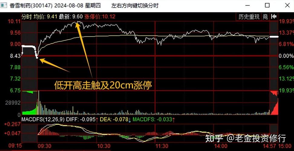 东园8月9日反弹劲爆