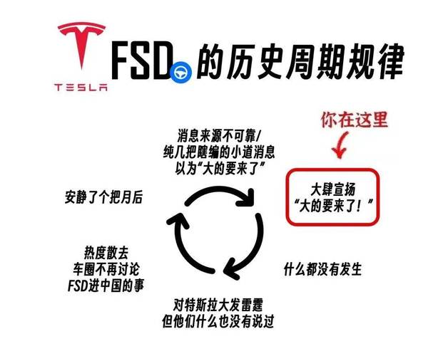 特斯拉FSD再成鲶鱼 激荡国内高阶智能驾驶加速普及