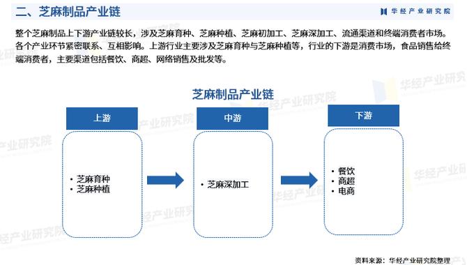 一校三冠带动芝麻产业，重塑体育版图